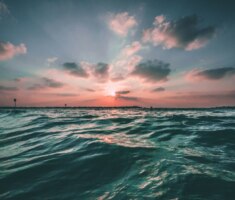 joseph-barrientos-oQl0eVYd_n8-unsplash