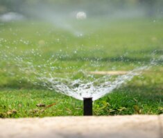 hamed-taha-sprinkler water irrigation-unsplash