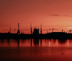 pexels-ivanxolod-8585343