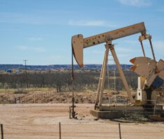 pexels-jayrocky-16133914-scaled